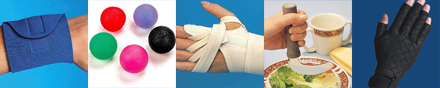 Physical Therapy Toys