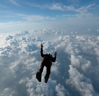 freefall_2