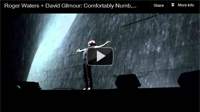 Comfortably Numb