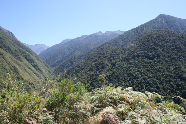 Trek 2-11