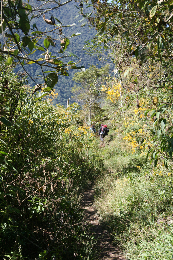 Trek 2-12