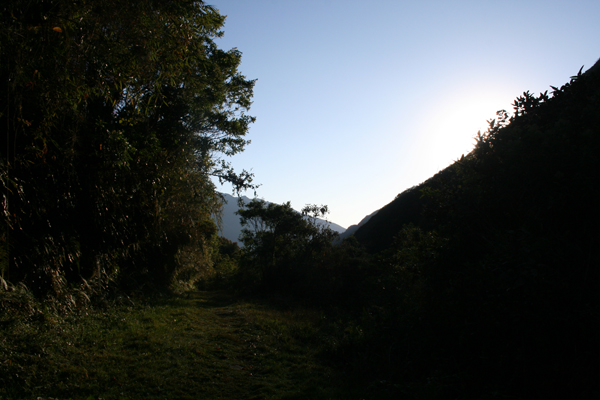 Trek 2-3
