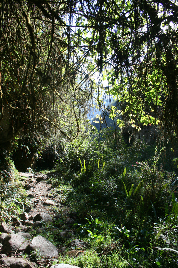 Trek 2-6