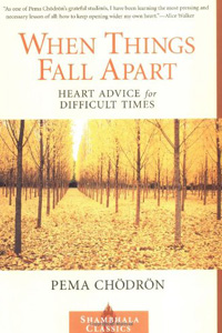 When-Things-Fall-Apart