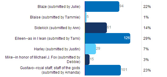 Name-My-Cane-Results