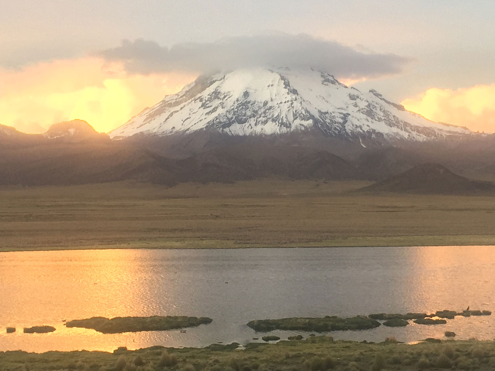 Sajama